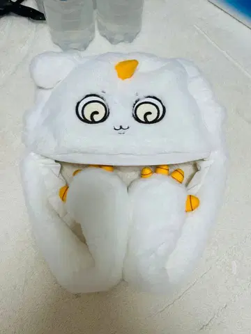 치이카와 파크 삐걱삐걱 모자 그 아이