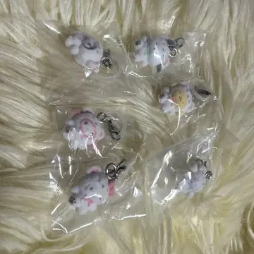 메지루시 액세서리 산리오 포근포근 스노우 전 6종 컴프 가챠