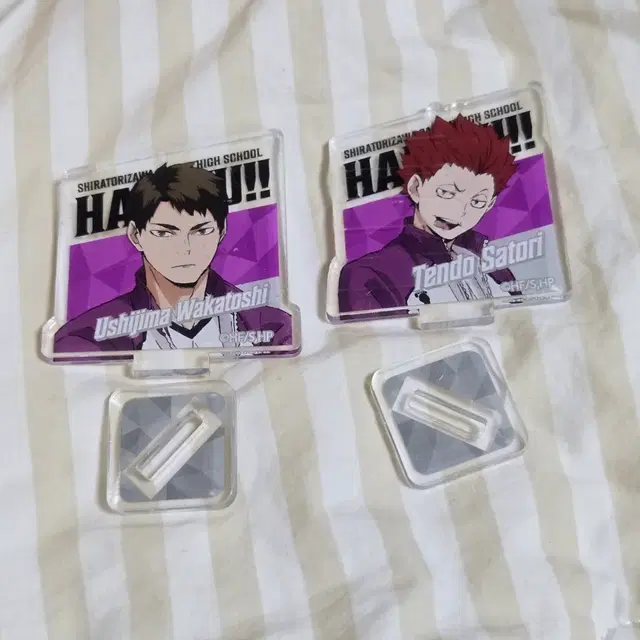 다이소 하이큐 굿즈 아크릴 스탠드 / 시라토리자와 텐도 우시지마