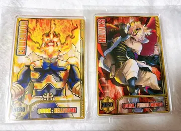 히로아카 스탯 카드 컬렉션 엔데버 호크스