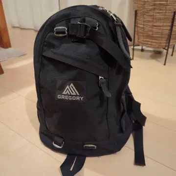 GREGORY 파인데이