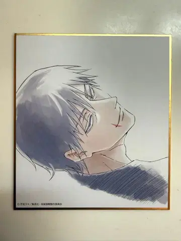 주술회전전 미니 색지 후시구로 토우지