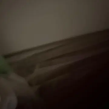 아줄바이마우지 터틀 니트 스웨터