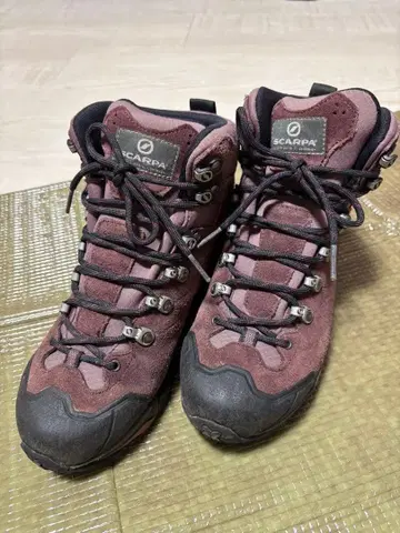 SCARPA 등산화 적자색 미드컷