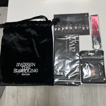 &TEAM AWAKEN THE BLOODLINE 앙콘 업그레이드 특전