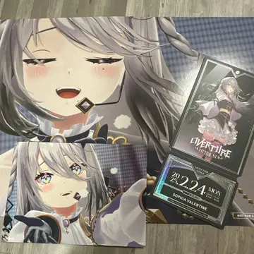 소피아 니지 페스티벌 빅 카드 특전