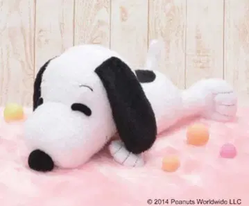 스누피 맥스 점보 폭신폭신 누워있는 봉제 인형 2014년