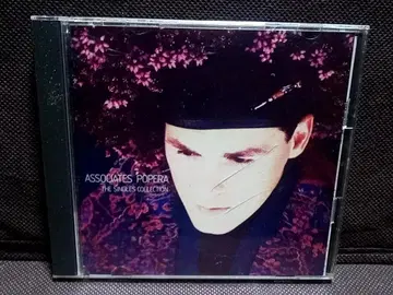 프로모션반 Associates Popera 일본 국내반