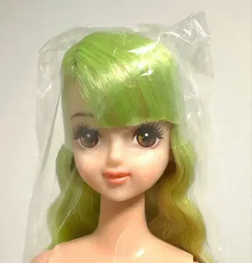 [ 미개봉 새상품 ] 리카짱 캐슬 오타노시미 인형 타마키 ESC 인형