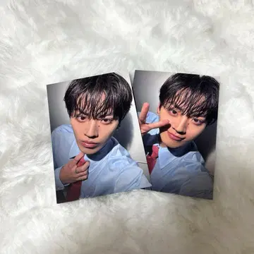 TJBB 후루시마 타키 포토 카드