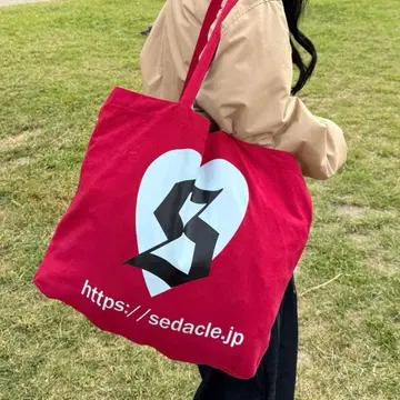 sedacle 배색 빅 토트백