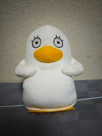 3년 Z반 긴파치 선생님 모후굿토 기다림 봉제 인형 엘리자베스