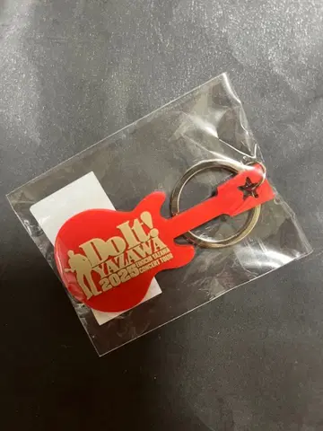 Do It! IWAWAKI 2025 키링