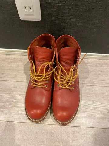 레드윙 8166 개택