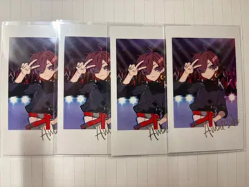 CR 페스티벌 2025 폴라로이드풍 카드 아마츠키(노멀)