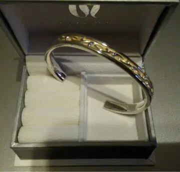 아쿠아 실버 뱅글