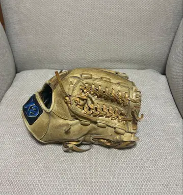 자낙스 야구용 그로브