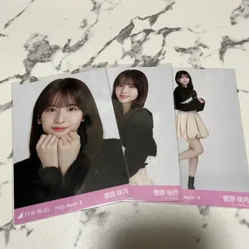 노기자카 브로마이드 스가와라 사츠키 샤기 앙상블 컴프