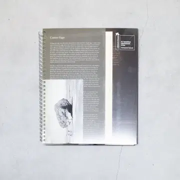 Common-Eggs 우주의 알