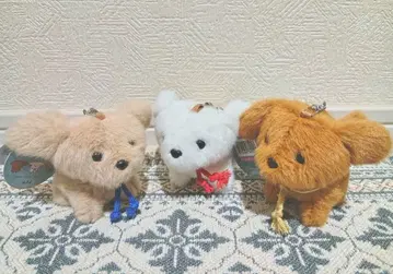 Wan Day 원 데이 전 3종 세트 강아지 키링