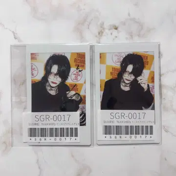 sugar Siz 폴라로이드