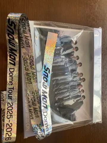 Snow Man Dome Tour ON 태피스트리