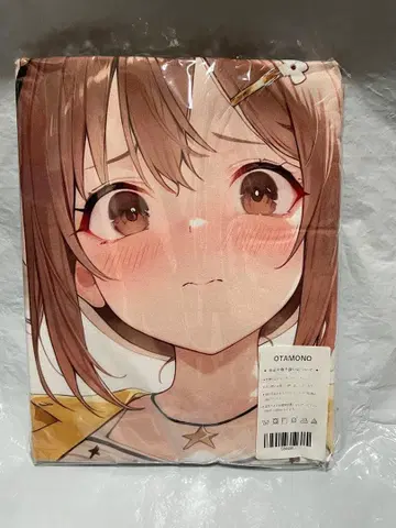 86490 아틀리에 라이자