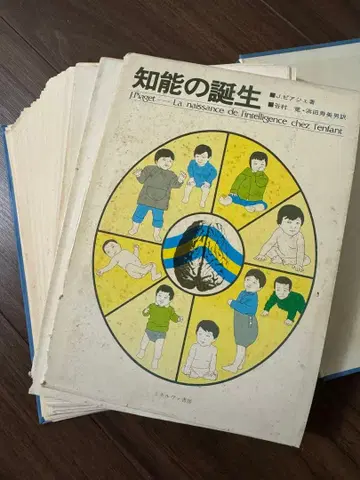 [재단됨] 지능의 탄생 J. Piaget