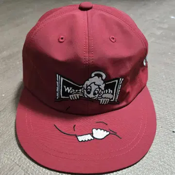 WASTED YOUTH x tappei CAP