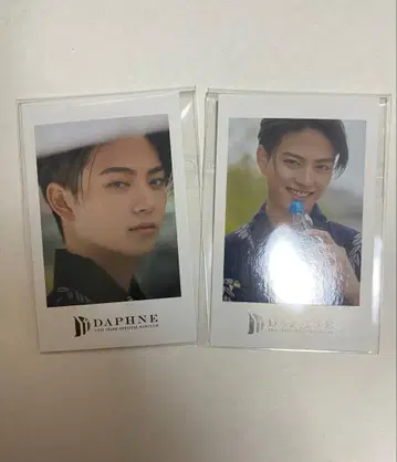 이와세 히로시 랜덤 폴라로이드풍 카드 2장 세트 회원 한정판