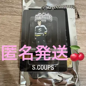 SEVENTEEN 세부치 home 2025 키링 에스쿱스