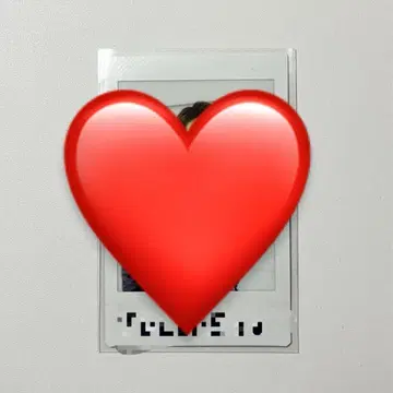 쇼지 코헤이 친필 사인 폴라로이드