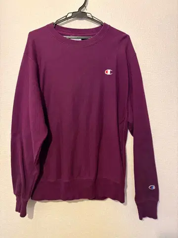 Champion reverseweave