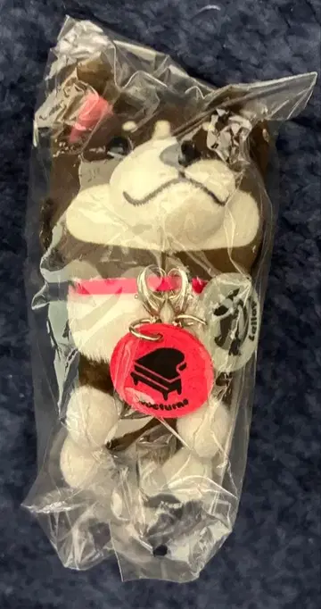 러브 라이브 선샤인 손안의 팥 봉제 인형 스트랩