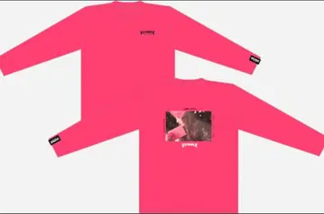 모모클로 사사키 아야카 론T L 사이즈