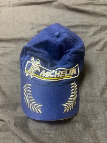 미쉐린 자수 캡 F1