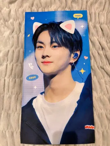 ENHYPEN 정원 슬로건 고양이 귀