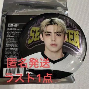 SEVENTEEN 세부치 home 2025 캔뱃지 에스쿱스