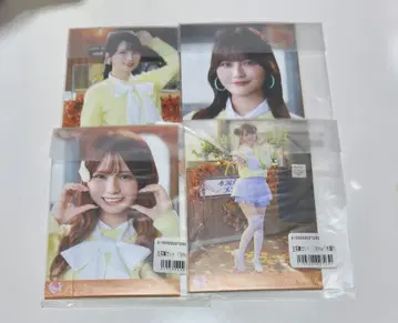 이코라부 코모레비 메조포르테 브로마이드 미개봉