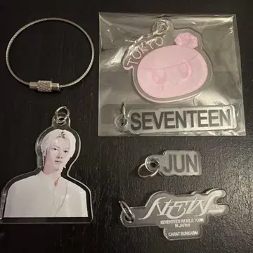 SEVENTEEN 세부치 New DIY 키 참 준 봉봉이