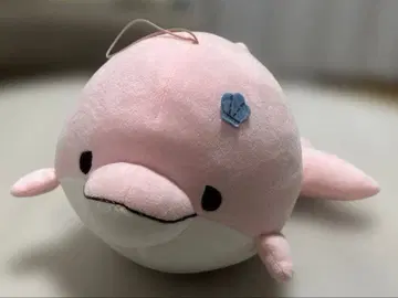 압축 없음 유루이루카 음성 버튼 봉제 인형 14 x 27cm 미이루카