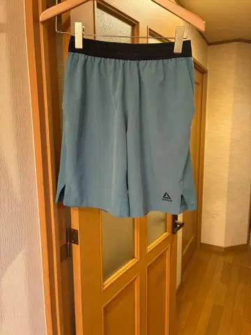 Reebok 스카이블루 숏팬츠 메쉬