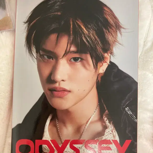 라이즈 앨범 오딧세이