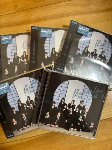 배타적 파이터 타입 C 5장 세트