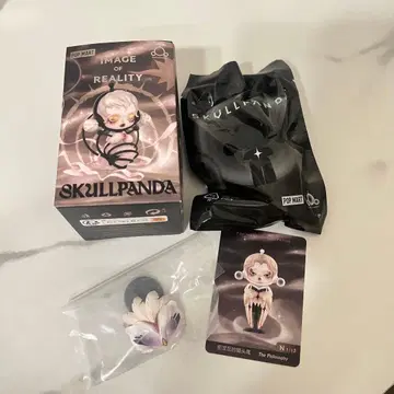 SKULLPANDA IMAGE OF REALITY 피규어