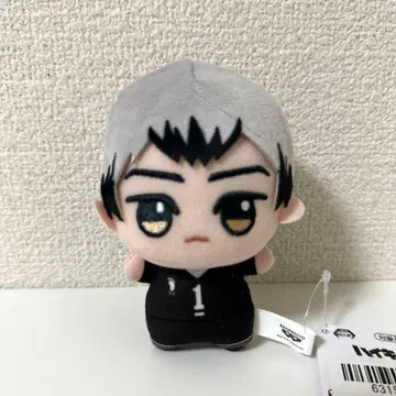 하이큐 치비구루미 봉제 인형 키타 신스케