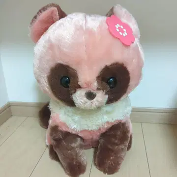 포폰토 너구리 BIG 사이즈