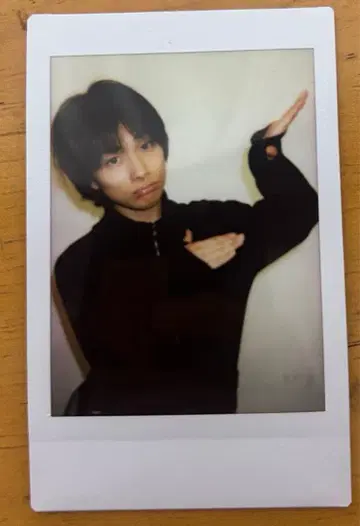 아오바군 폴라로이드 세이케 아오바 아오바