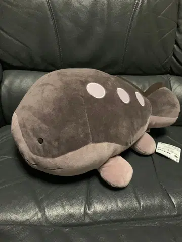 포켓몬스터 도오 메챠모후굿토