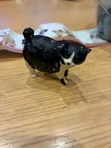 하시모토 미오 고양이 조각 2 코테츠 군